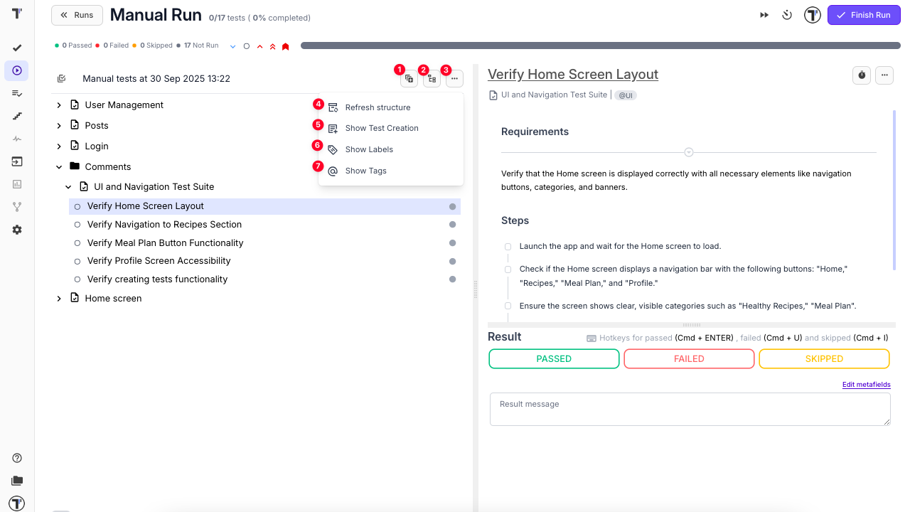 Manual Run Additional Options